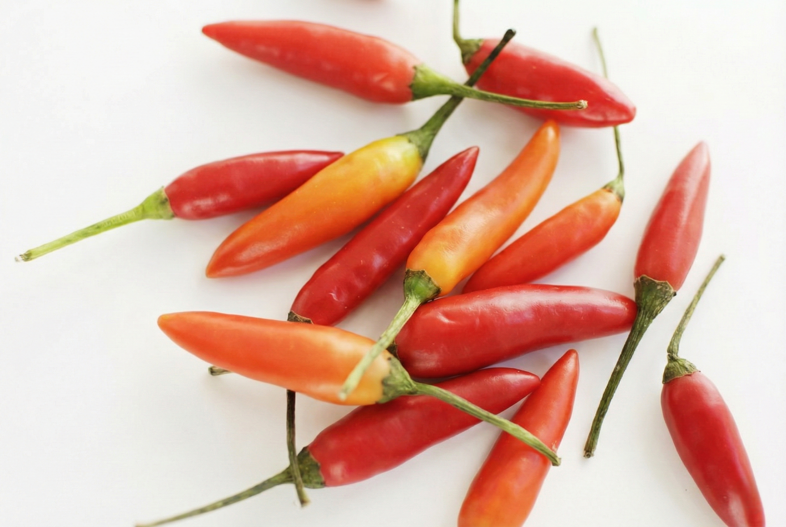 Probiotic Peri Peri Red